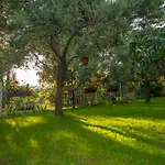 Apartment In Pula - Istrien 42563