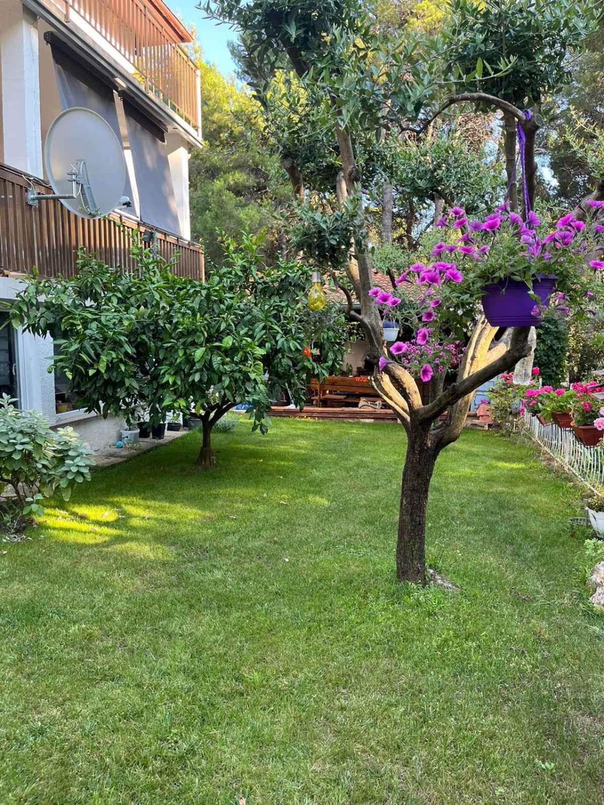 In - Istrien 42563 Appartamento *